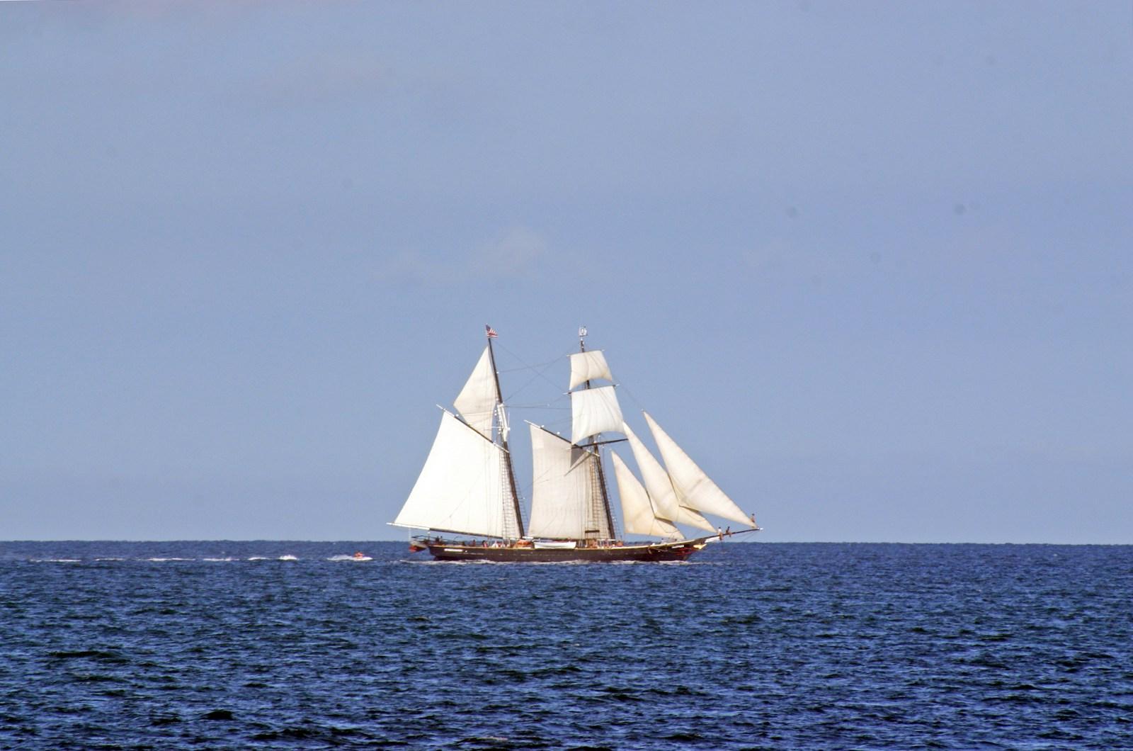 Sailing boat reference image