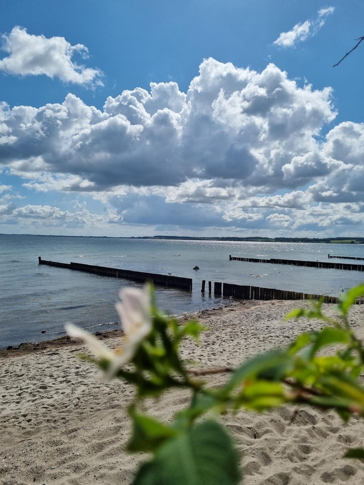 Strand buhnen im oder rund um Haus Mirabelle