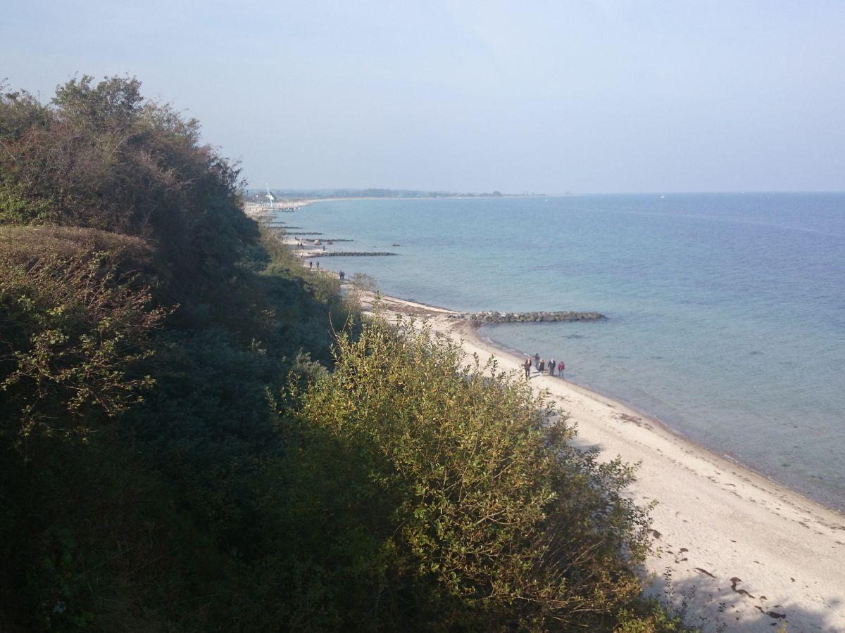 Wind- und Kitesurfen rund um Hohwacht